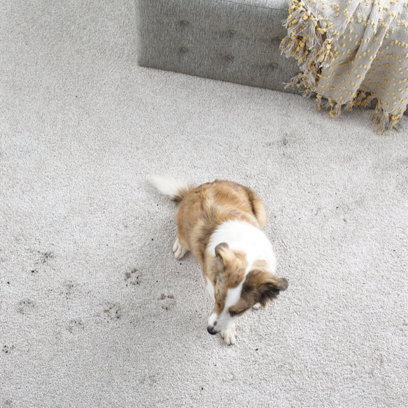 Floor Protection in Any Weather